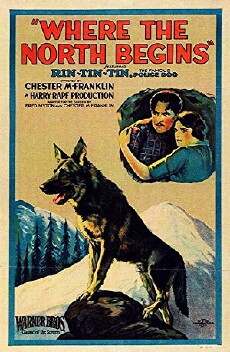 Where the North Begins (1923) - Stream Online