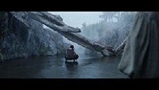 Trail of Ashes (2019) - Stream Online