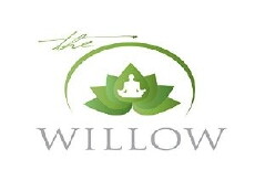 The Willow (2012) - Stream Online