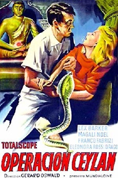 Scarlet Eye (1963) - Stream Online