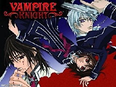 Vampire Knight (2008) - Stream Online