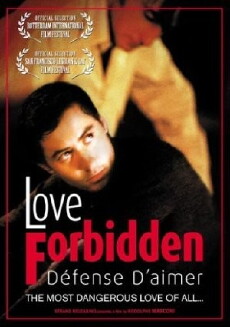 Love Forbidden (2002) - Stream Online