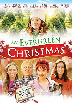 An Evergreen Christmas (2014) - Stream Online