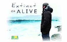 Extinct or Alive (2018) - Stream Online