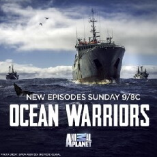 Ocean Warriors (2016) - Stream Online
