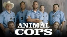 Animal Cops: Houston (2003) - Stream Online