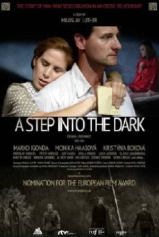 A Step Into the Dark (2014) - Stream Online