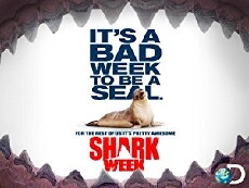 Shark Week (1987) - Stream Online