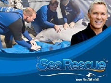 Sea Rescue (2012) - Stream Online