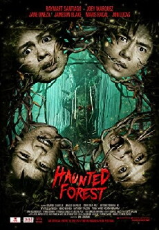 Haunted Forest (2017) - Stream Online