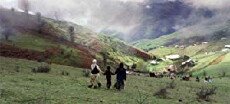 Bad o meh - Wind und Nebel (2011) - Stream Online