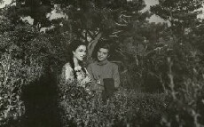 Baharda solan çiçek (1968) - Stream Online