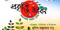 Nature and Life (2013) - Stream Online