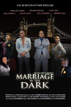 Marriage in the Dark (2014) - Stream Online