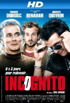 Incognito (2009) - Stream Online