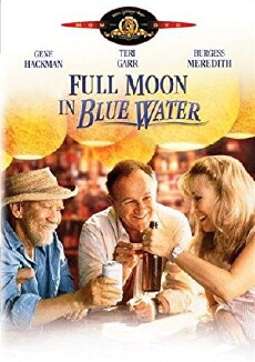 Full Moon in Blue Water (1988) - Stream Online