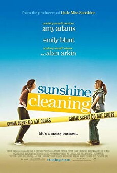 Sunshine Cleaning (2008) - Stream Online