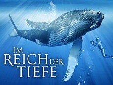 Im Reich der Tiefe (2011) - Stream Online