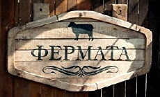 The Farm: Bulgaria (2015) - Stream Online