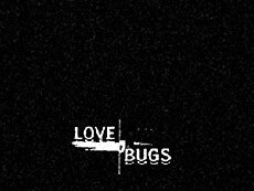 Love Bugs (2004) - Stream Online