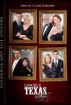 Divorce Texas Style (2016) - Stream Online