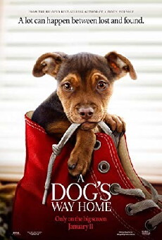 A Dog's Way Home (2019) - Stream Online