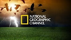 National Geographic Today (2002) - Stream Online