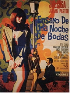A Wedding Night Essay (1968) - Stream Online