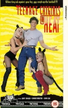 Teenage Catgirls in Heat (1994) - Stream Online