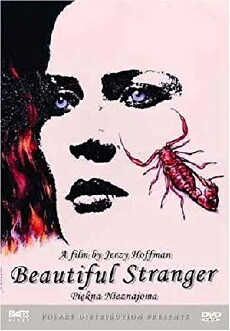 A Beautiful Stranger (1993) - Stream Online