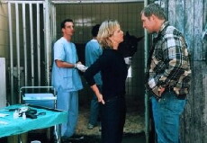 Allein unter Männern (2001) - Stream Online