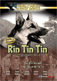 The Return of Rin Tin Tin (1947) - Stream Online