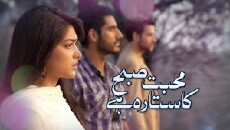 Mohabbat Subh Ka Sitara Hai (2013) - Stream Online