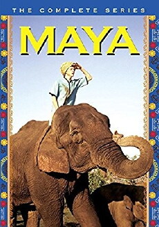 Maya (1967) - Stream Online