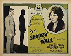 The Shadow on the Wall (1925) - Stream Online