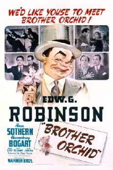 Brother Orchid (1940) - Stream Online