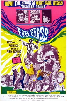 Scream Free! (1969) - Stream Online