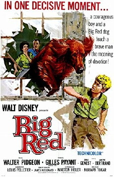 Big Red (1962) - Stream Online
