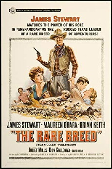 The Rare Breed (1966) - Stream Online