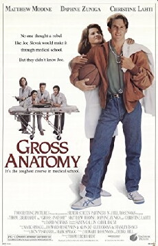 Gross Anatomy (1989) - Stream Online