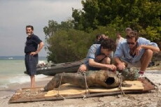 Call Me by Your Name (2017) - Stream Online