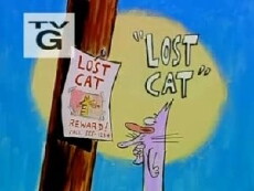 Lost Cat (2000) - Stream Online