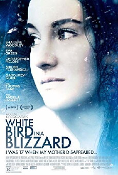 Wie ein weißer Vogel im Schneesturm (2014) - Stream Online