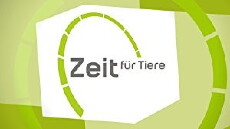 Zeit für Tiere (2010) - Stream Online