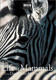 The Life of Mammals (2002) - Stream Online