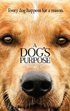 A Dog's Purpose (2017) - Stream Online