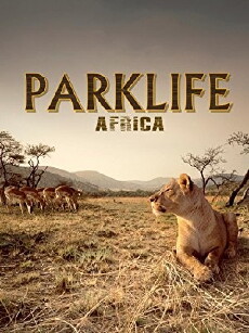 Parklife: Africa (2000) - Stream Online