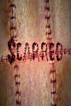 Scarred (2007) - Stream Online