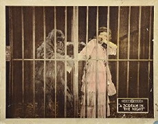 A Scream in the Night (1919) - Stream Online