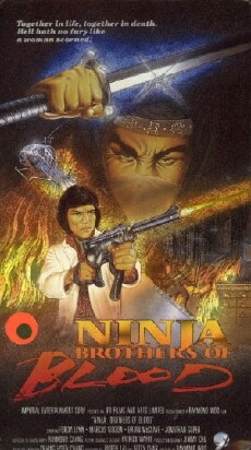 Ninja Knight Brothers of Blood (1988) - Stream Online